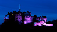 Purple Castle