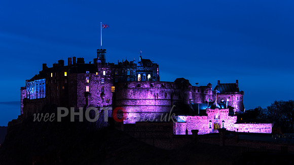 Purple Castle