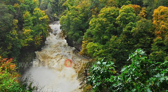 Falls of Clyde