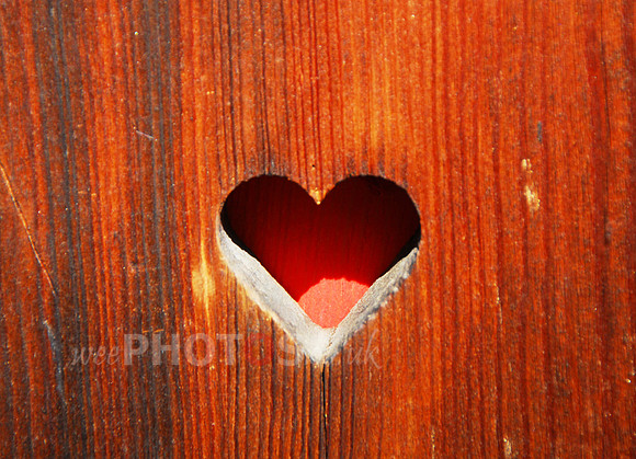 Heart Shutter