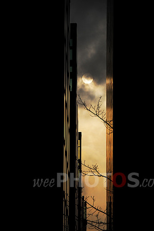 Quartermile Sun