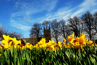 Polwarth Spring