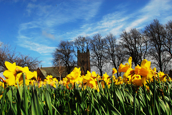 Polwarth Spring