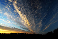 Harrison Cloud Streets