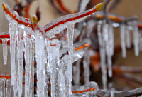 Icicles