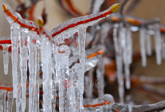 Icicles