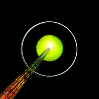 The green eyed Star Flyer