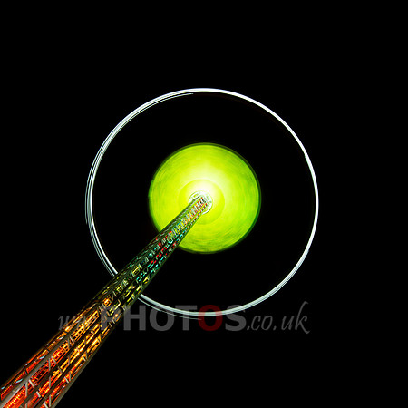 The green eyed Star Flyer