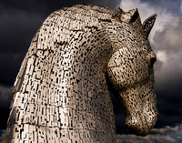 The Calm Kelpie