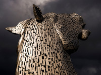 Roaring Kelpie